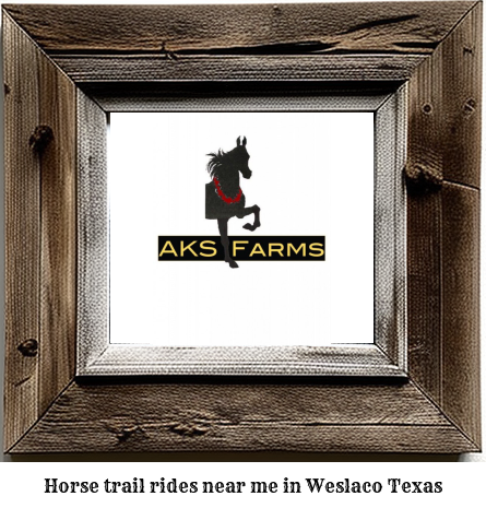 horse trail rides near me in Weslaco, Texas